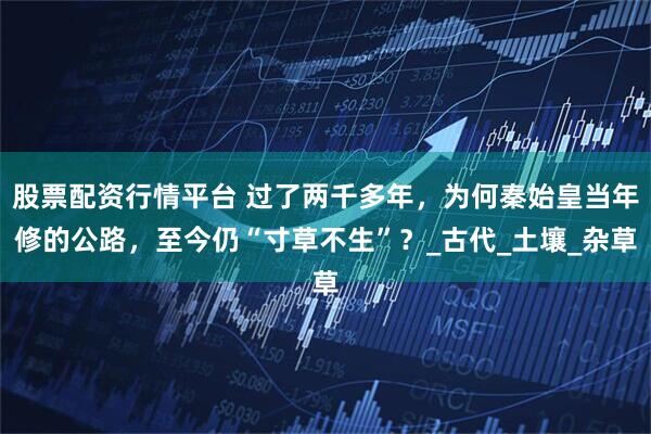 股票配资行情平台 过了两千多年，为何秦始皇当年修的公路，至今仍“寸草不生”？_古代_土壤_杂草
