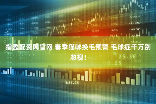 指盈配资网官网 春季猫咪换毛预警 毛球症千万别忽视！