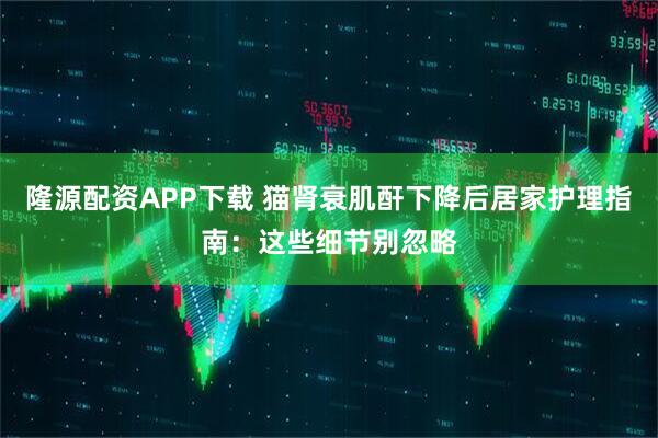 隆源配资APP下载 猫肾衰肌酐下降后居家护理指南：这些细节别忽略