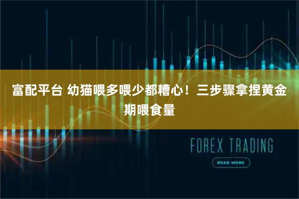 富配平台 幼猫喂多喂少都糟心！三步骤拿捏黄金期喂食量